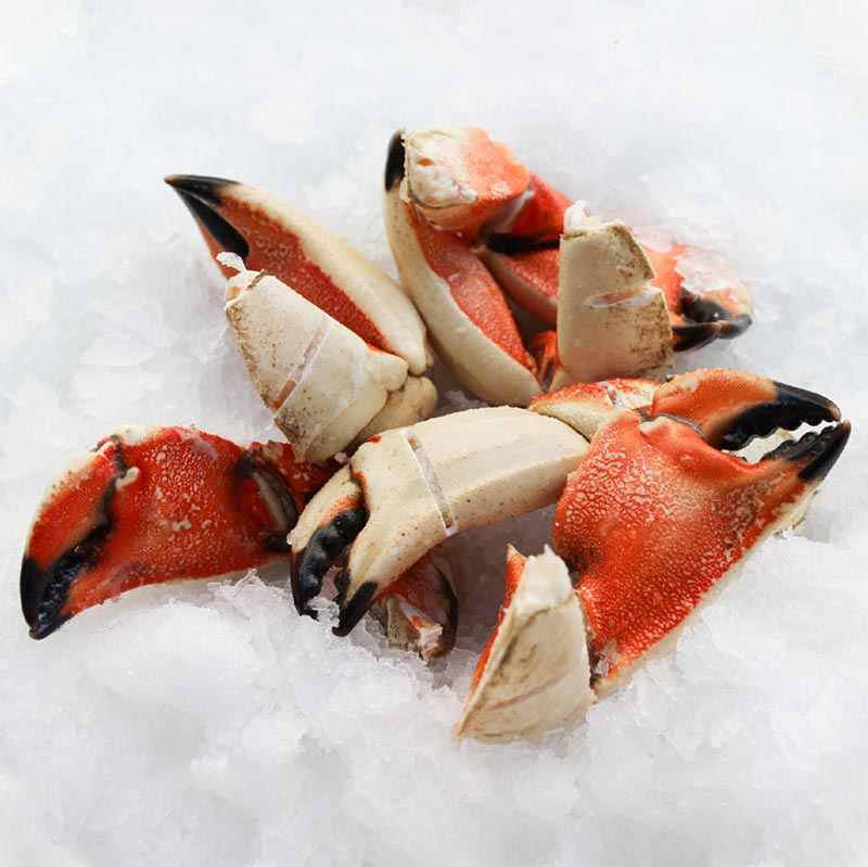 Triple Score Claws — Products Pangea Shellfish Company